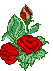 SMALLROSES.GIF (3240 bytes)