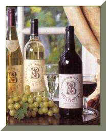 bottles2.jpg (8987 bytes)