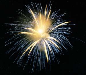 fireworks.jpg (16538 bytes)