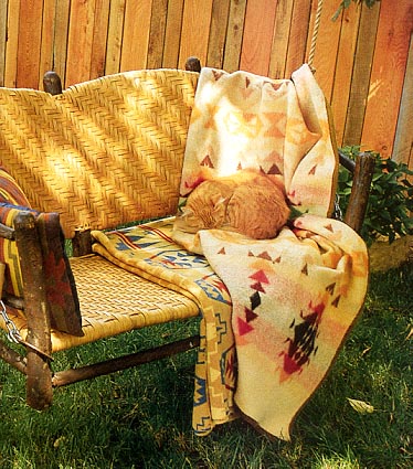 ourhomekitty.jpg (107878 bytes)