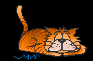 wiggilycatanim.gif (4224 bytes)